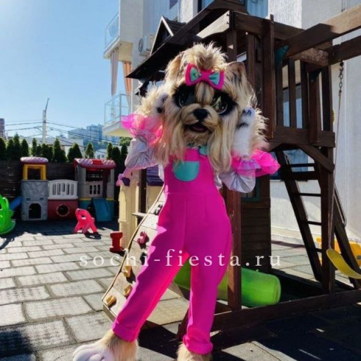 Аниматор Гламурная Собака в Череповеце