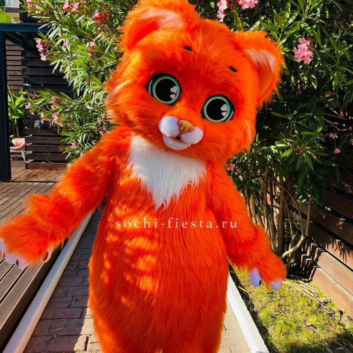 Аниматор Котик в Череповеце