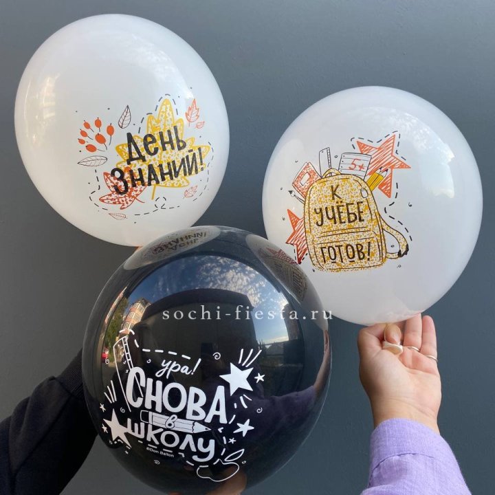 Воздушный шар к 1 сентября в Череповеце