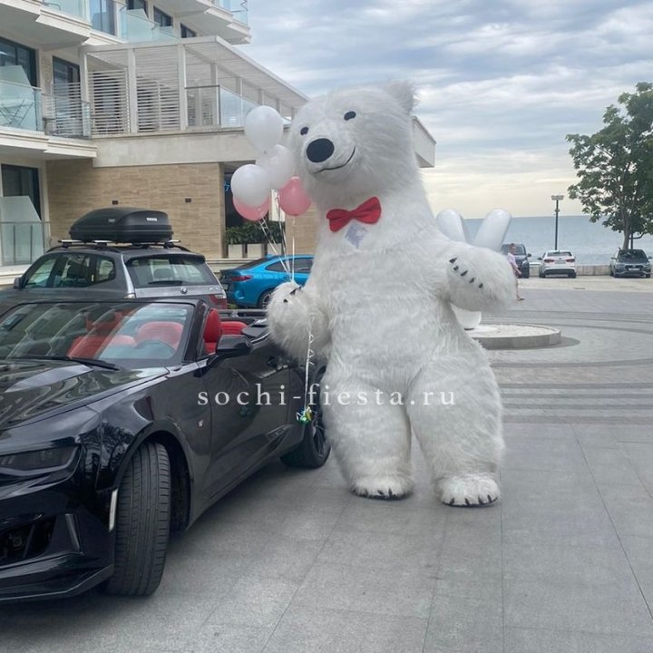 Аниматор Белый Медведь в Череповеце