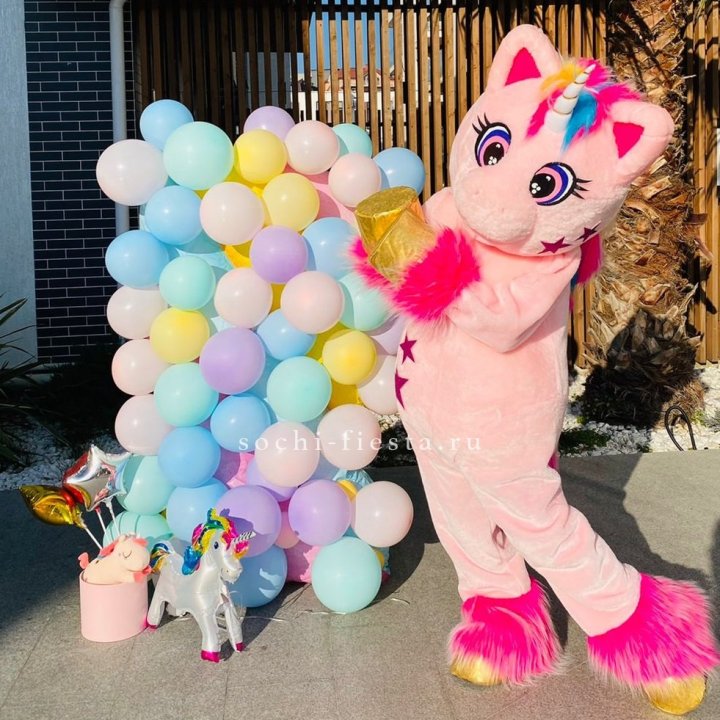 Аниматор Единорог в Череповеце