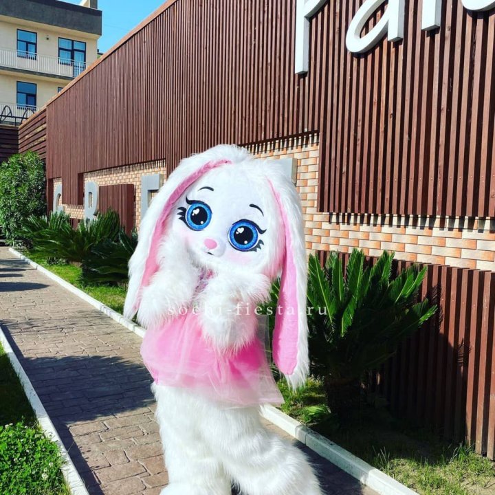 Аниматор Зайка в Череповеце