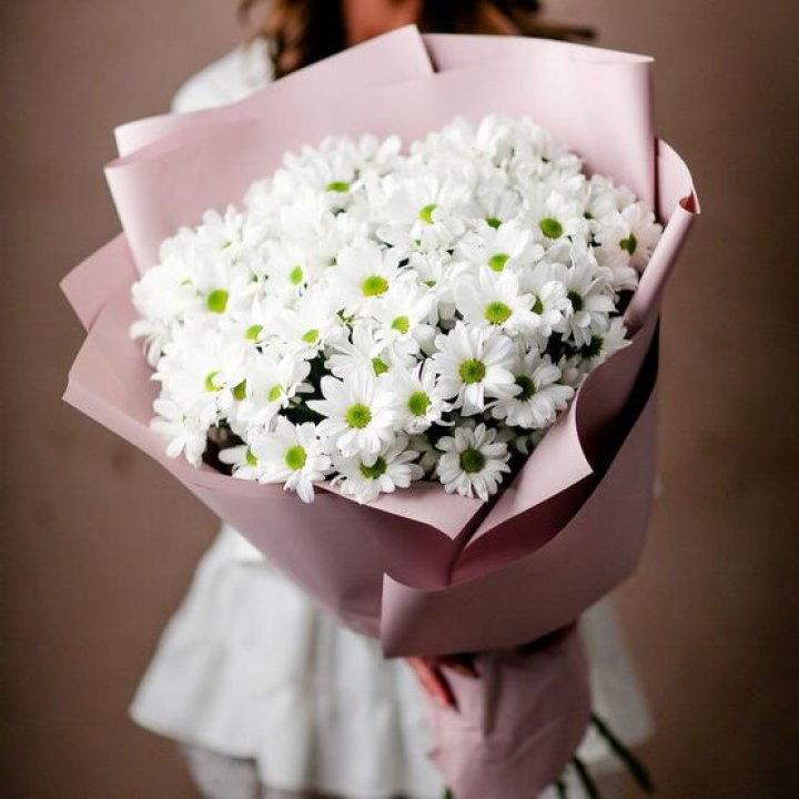 Букет хризантем №2 в Череповеце