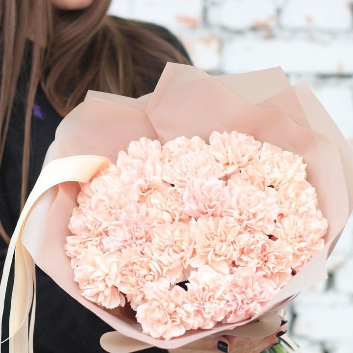 Диантусы №2 в Череповеце