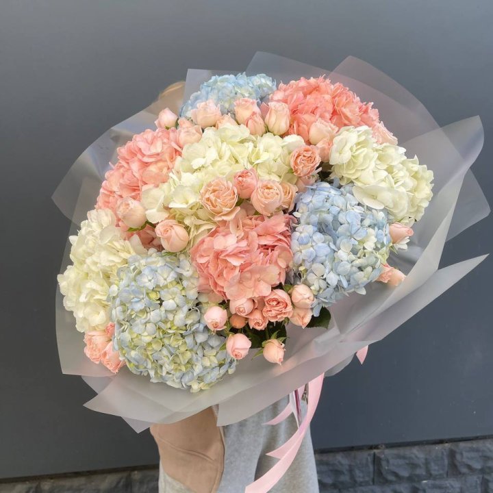 Дуо гортензии и бомбастик в Череповеце