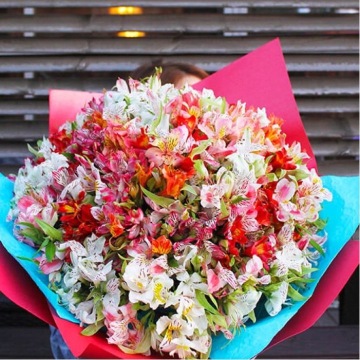 101 альстромерия в Череповеце