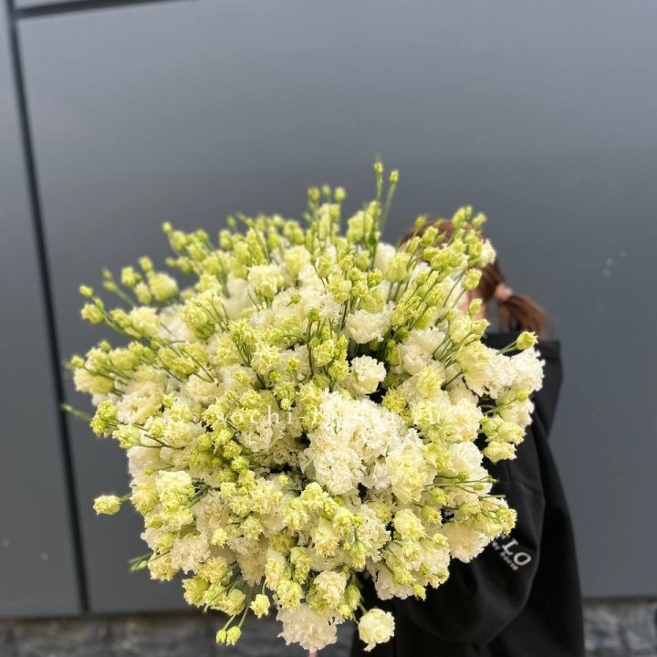 51 белая эустома в Череповеце