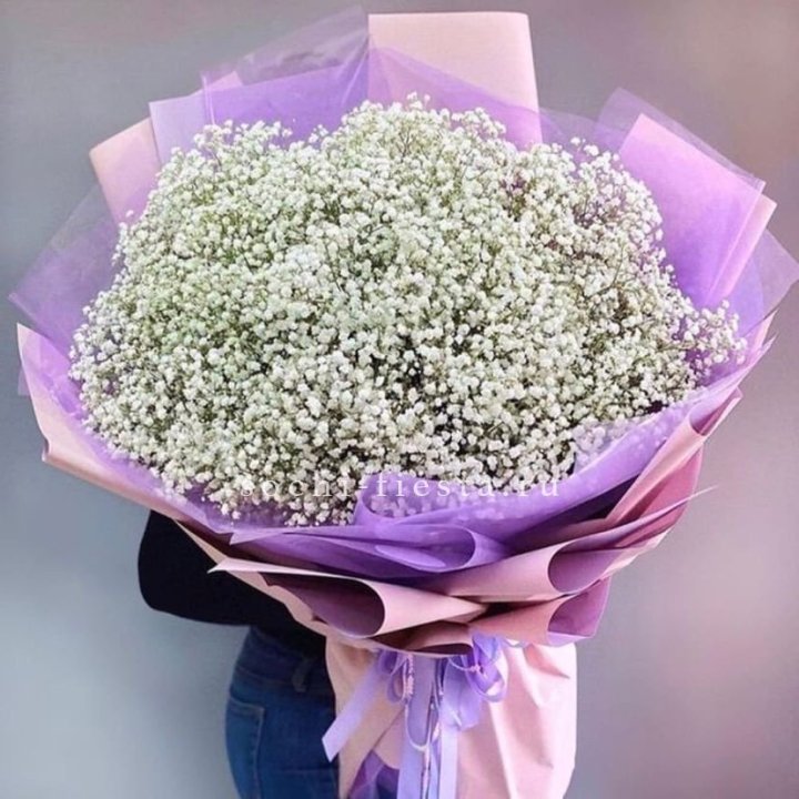 Облако белых гипсофил в Череповеце