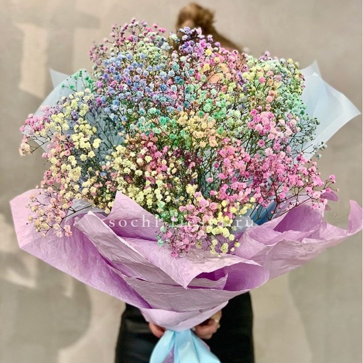 Радужные гипсофилы №2 в Череповеце