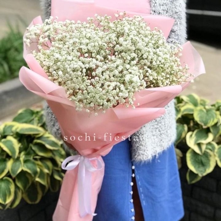 Белоснежные гипсофилы в Череповеце