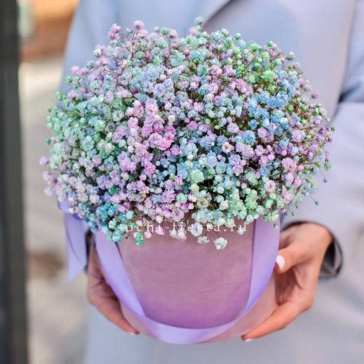 Гипсофилы в шляпной коробке "Кандилайт" в Череповеце