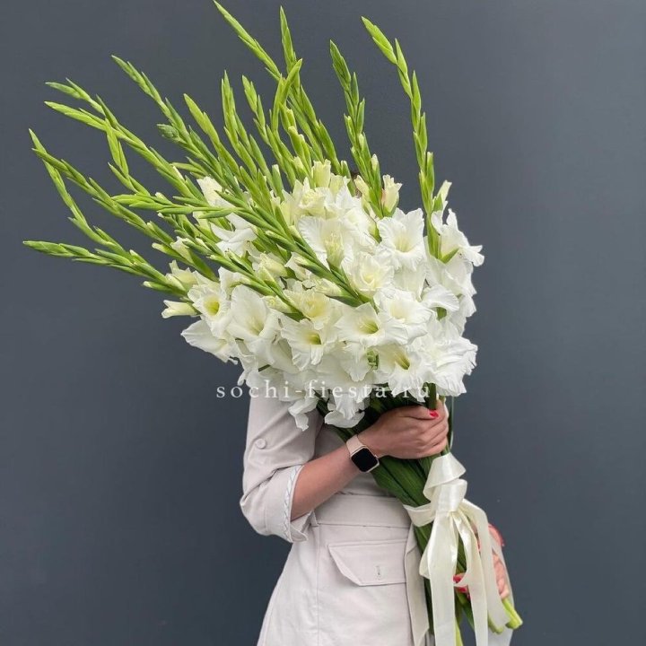 19 белых гладиолусов под ленту в Череповеце