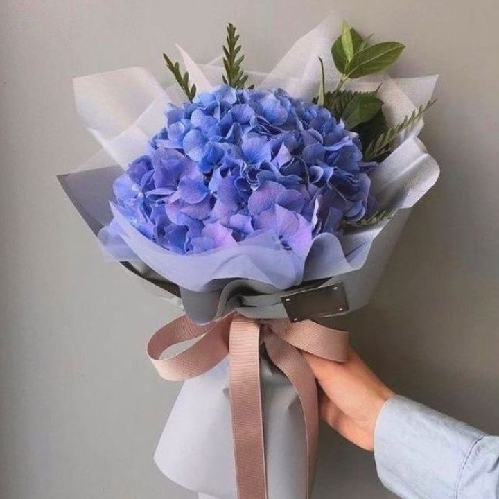 Гортензия голубая в Череповеце