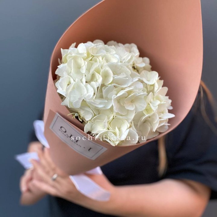 Гортензия в конверте в Череповеце