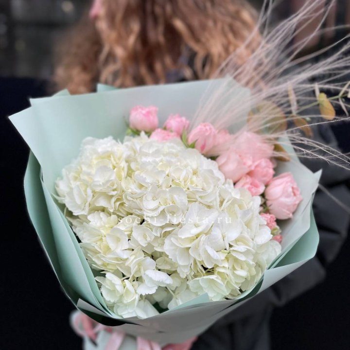 Гортензия "Жасмин" в Череповеце