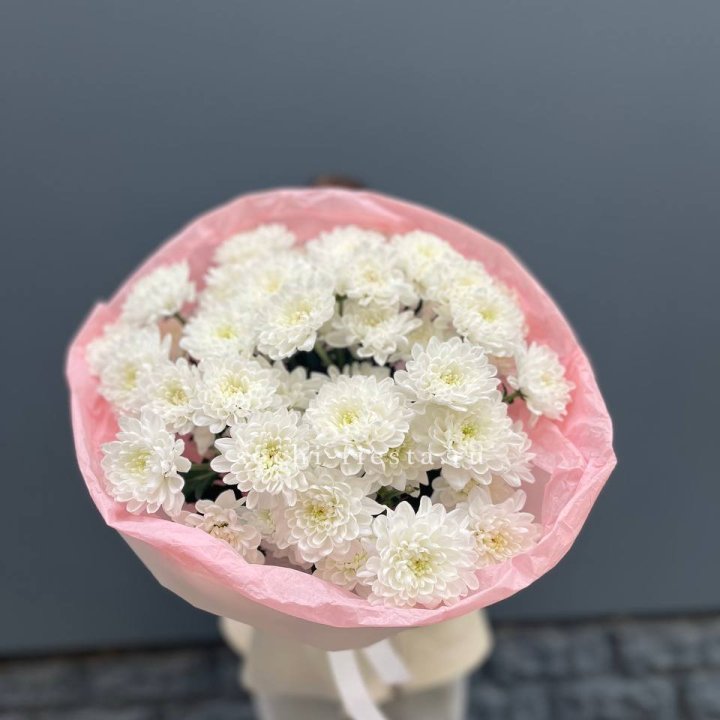  5 хризантем  в Череповеце