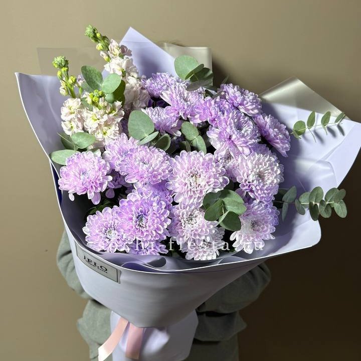 Дуо хризантема и маттиола в Череповеце