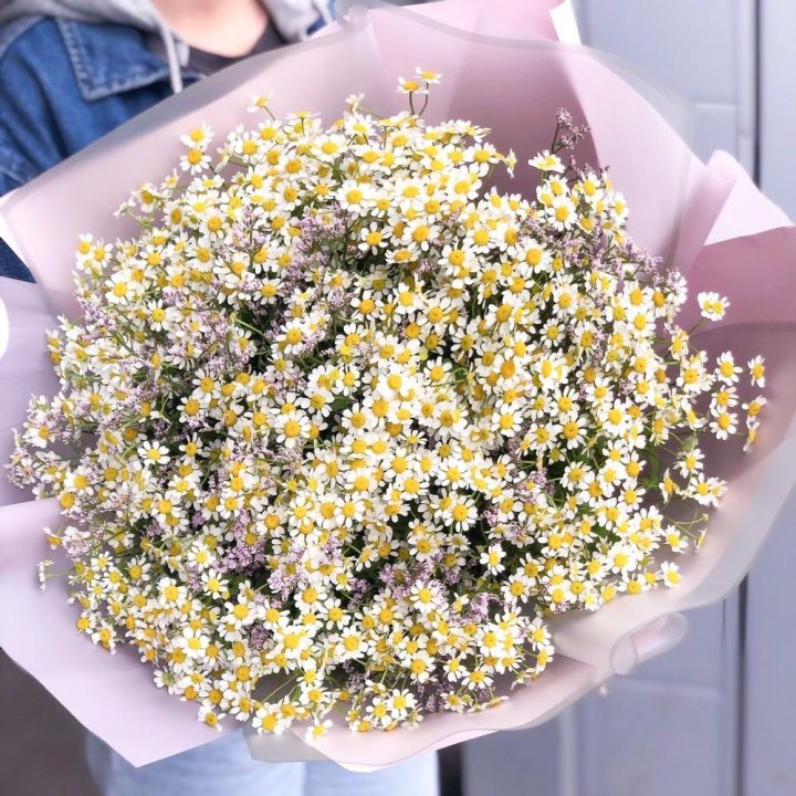 Букет ромашек №1 в Череповеце