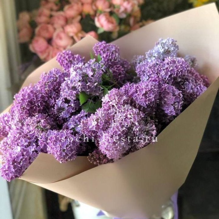 Букет сирени №2 в Череповеце