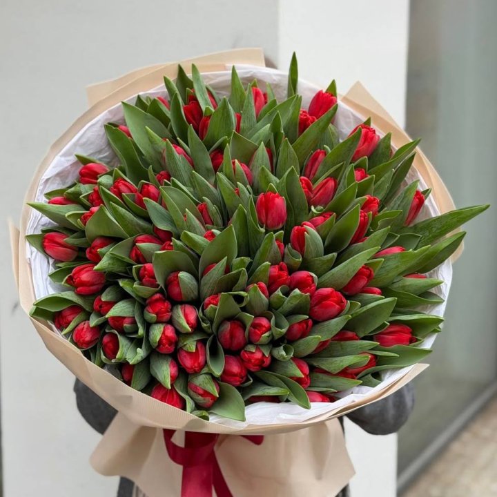 101 красный тюльпан в Череповеце