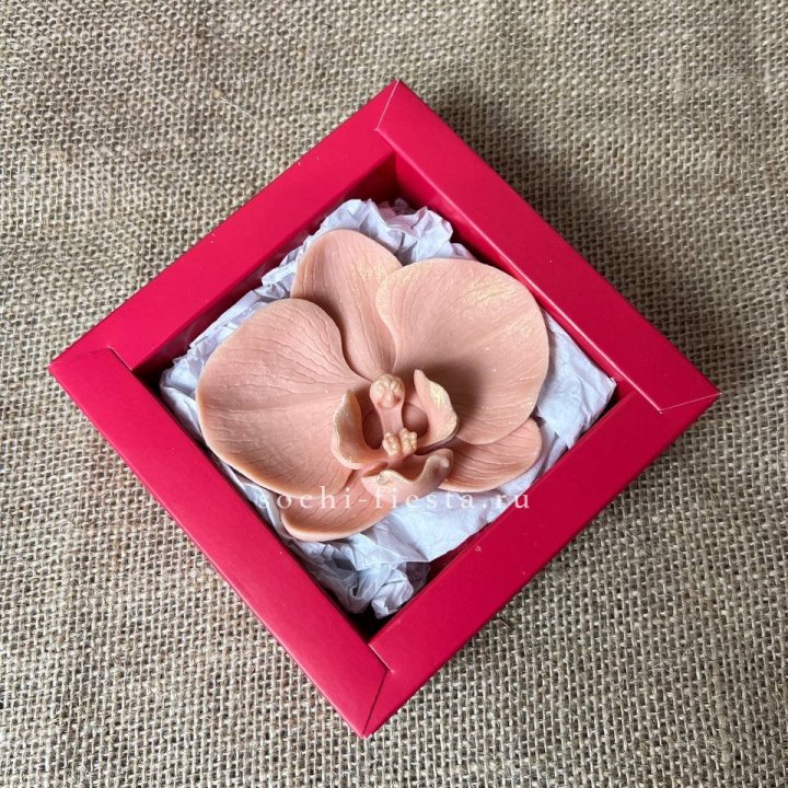 Бельгийский шоколад Орхидея в Череповеце