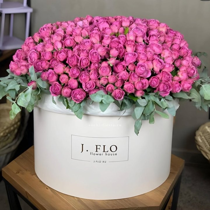 Цилиндр с Мисти Бабблс  в Череповеце