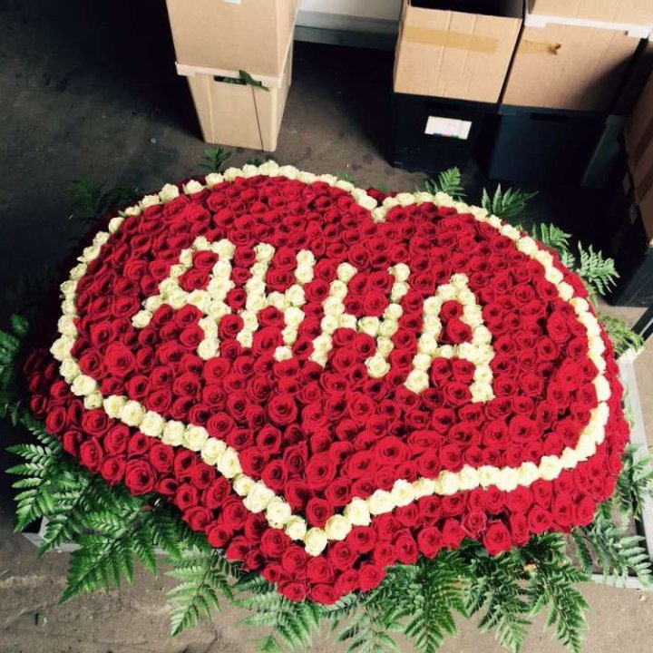 555 роз с именем в Череповеце