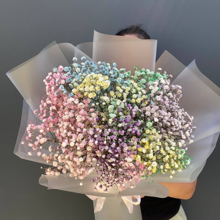 Радужные гипсофилы  в Череповеце