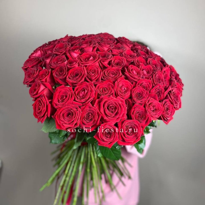 101  голландская роза  в Череповеце