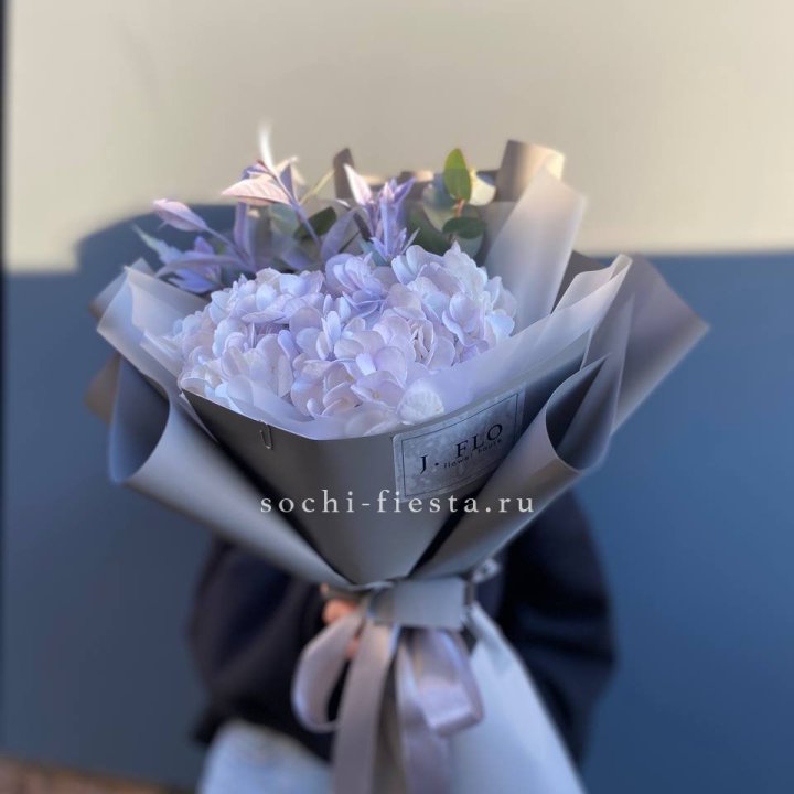 Гортензия "Виолета" в Череповеце