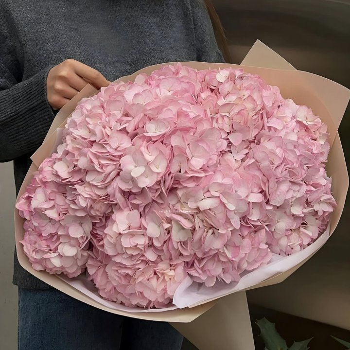 Гортензия  "РОЗЕ" в Череповеце