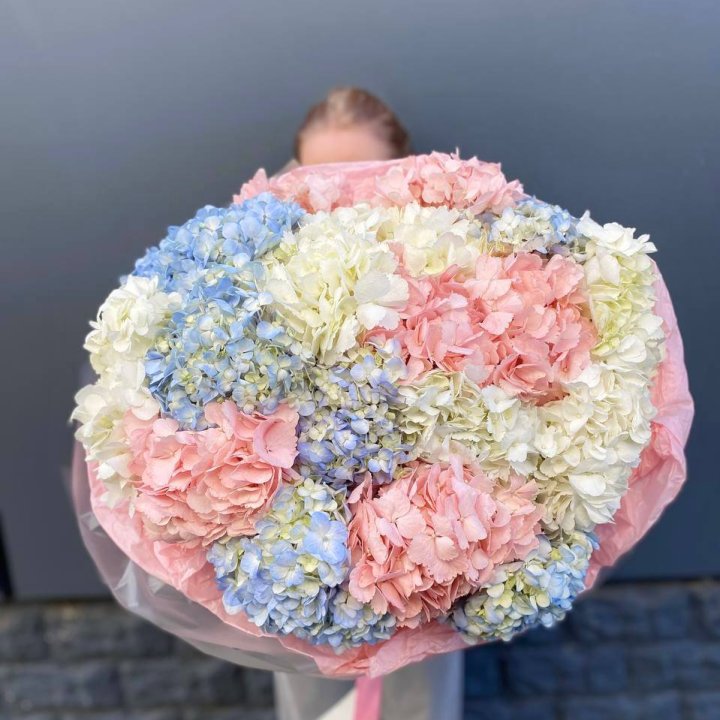 19 гортензий микс в Череповеце