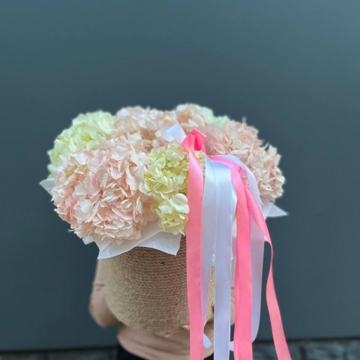 7 гортензий в кашпо в Череповеце