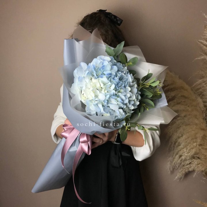 Гортензия Уно в Череповеце