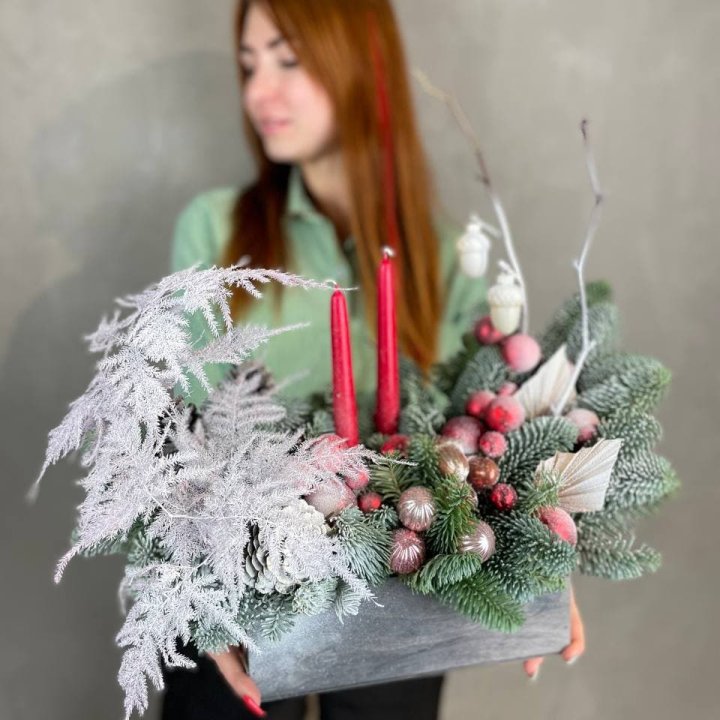 Бокс красный с нобилисом в Череповеце