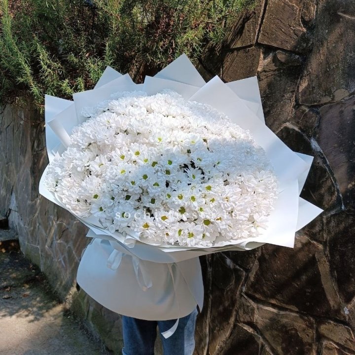 Облако хризантем №2 в Череповеце