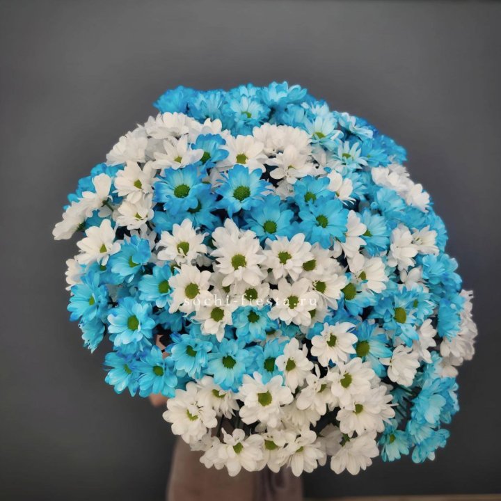  Букет хризантем микс в Череповеце