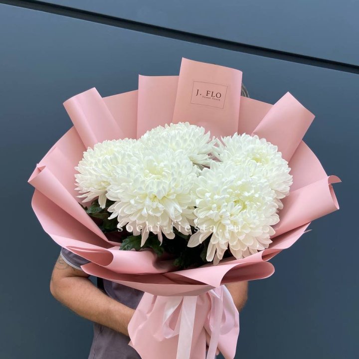 Профитроли №2 в Череповеце