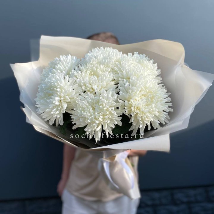 Профитроли в Череповеце