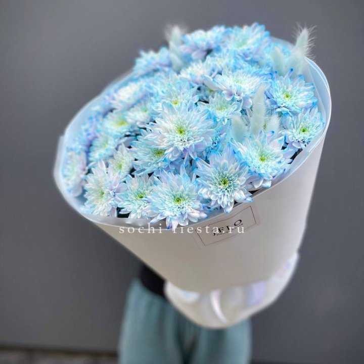  Букет нежно-голубых хризантем  в Череповеце