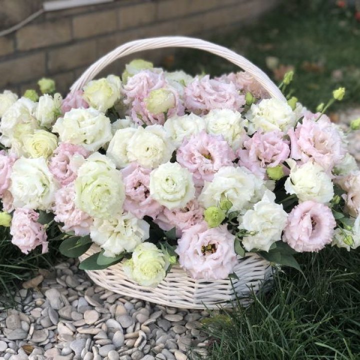 Корзина с эустомой в Череповеце