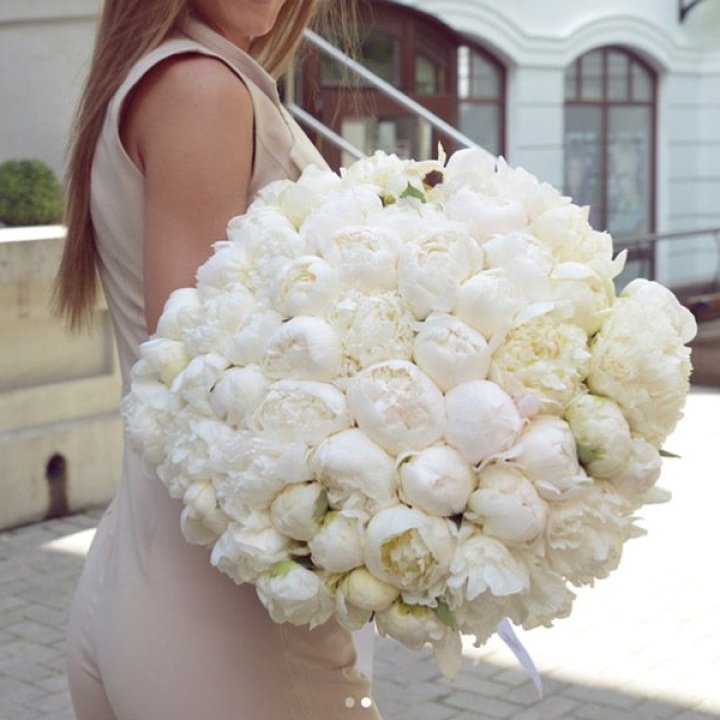 51 белый пион в Череповеце