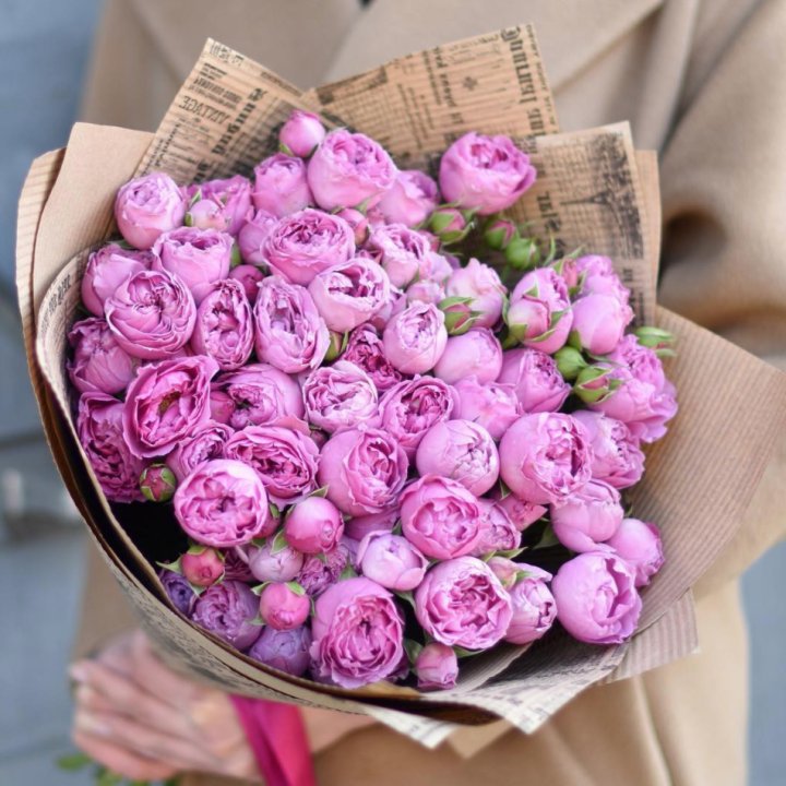 Роза Мисти Баблс в Череповеце