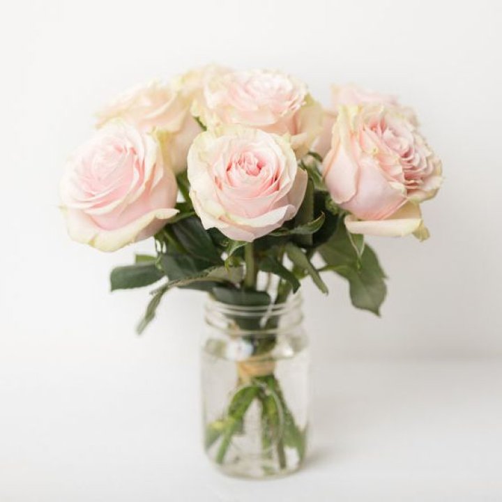 7 кремовых роз в Череповеце