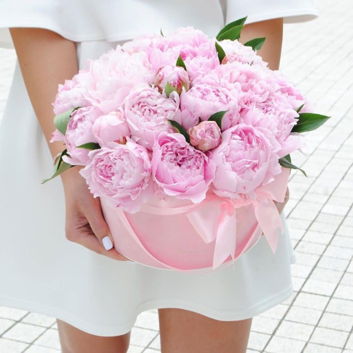 Пионы в шляпной коробке в Череповеце