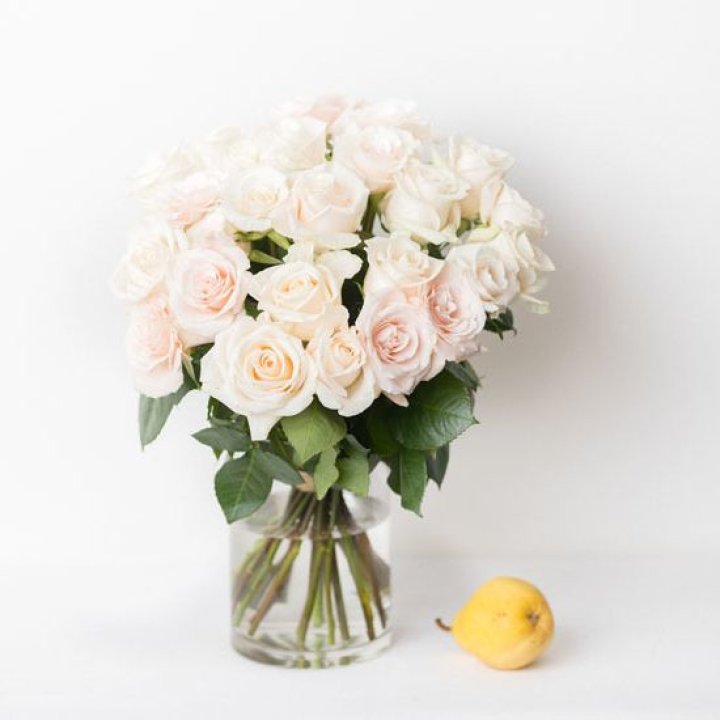 25 кремовых роз в Череповеце