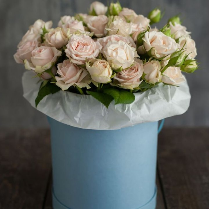 Бокс с бомбастиком в Череповеце