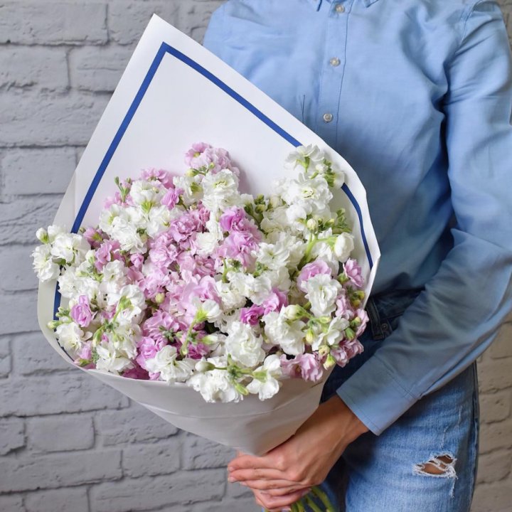 Маттиола в Череповеце