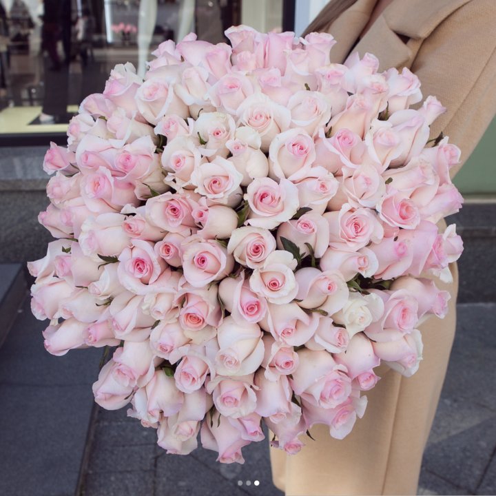 Розы "Пинк бум" в Череповеце