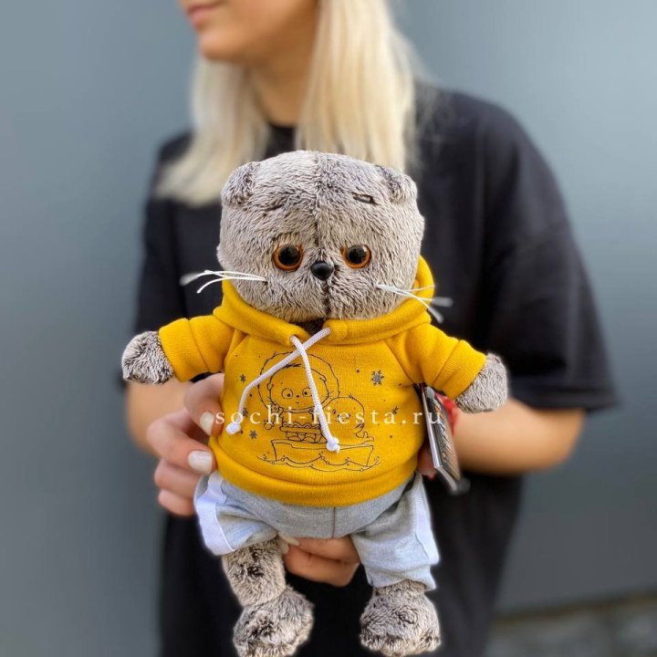 Кот Басик в худи в Череповеце